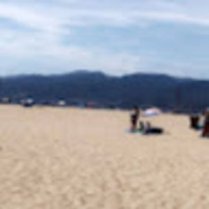 Meet your Posher, Abbey